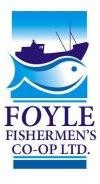Foyle